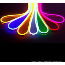 le tube de lumière imperméable de néon de rgb a mené le logiciel approprié 120leds / m 2835smd usb neon light